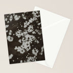 Evening Daisies x flower photograph black and white botanical Stationery Card Gallery Image 2