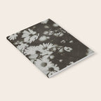 Evening Daisies x flower photograph black and white botanical Notebook Gallery Image 2