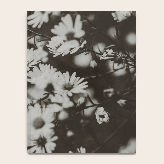 Evening Daisies x flower photograph black and white botanical Notebook Gallery Image 4