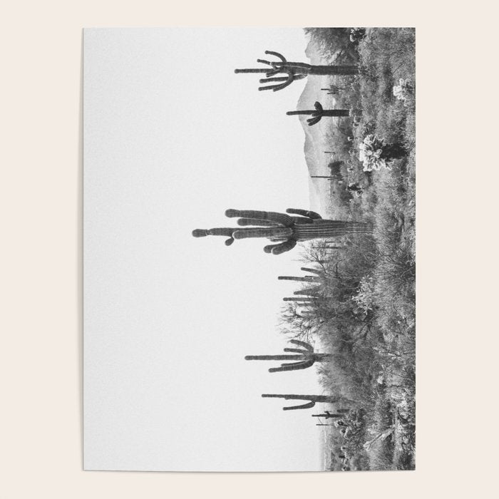 ARIZONA DESERT VI / Scottsdale Poster Gallery Image 4