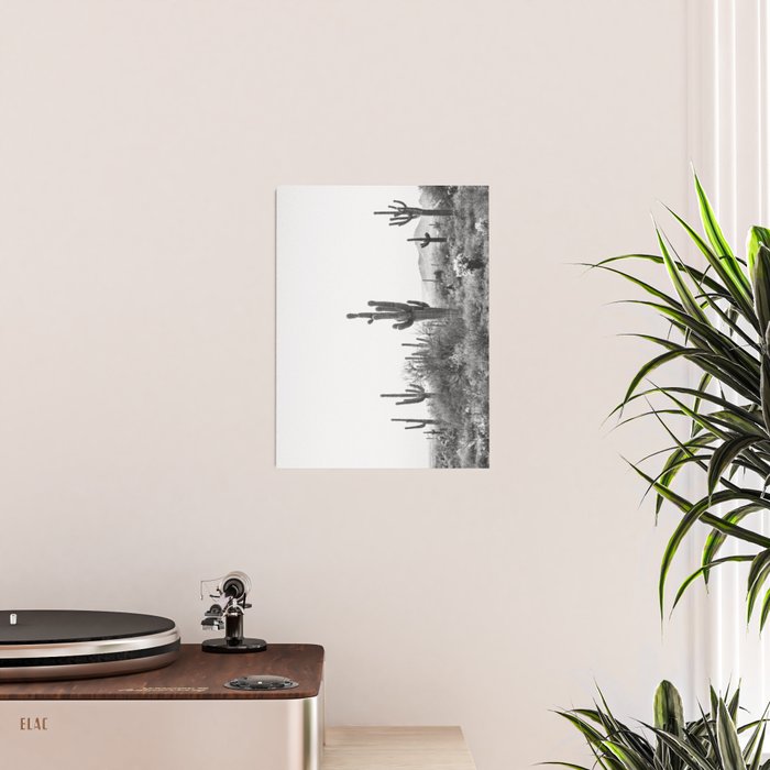 ARIZONA DESERT VI / Scottsdale Poster Gallery Image 2