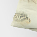 The Feather Collection Pillow Sham Gallery Image 4