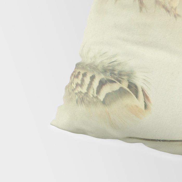 The Feather Collection Pillow Sham Gallery Image 4