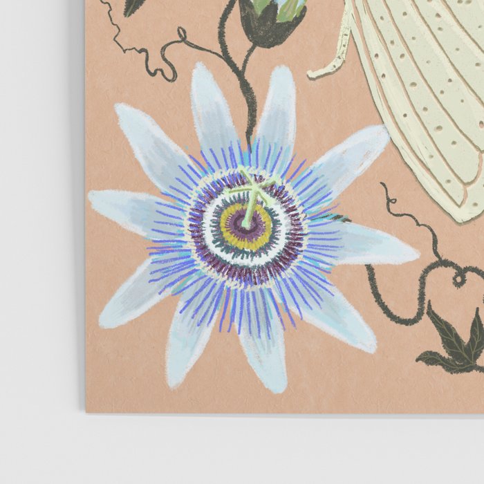Cicada and Passionflower Poster Gallery Image 3