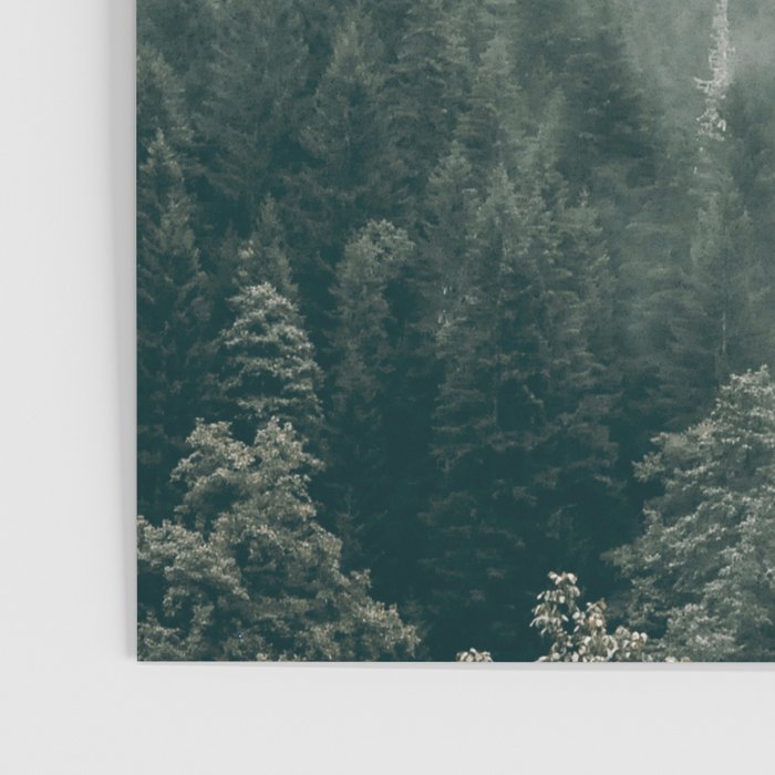 Foggy Forest 3 Poster Gallery Image 3