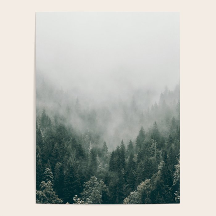 Foggy Forest 3 Poster Gallery Image 4