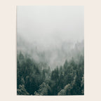 Foggy Forest 3 Poster Gallery Image 4