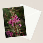 River Beauty Willowherb Stationery Card Gallery Image 2