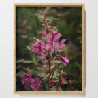 River Beauty Willowherb Serving Tray Gallery Image 1