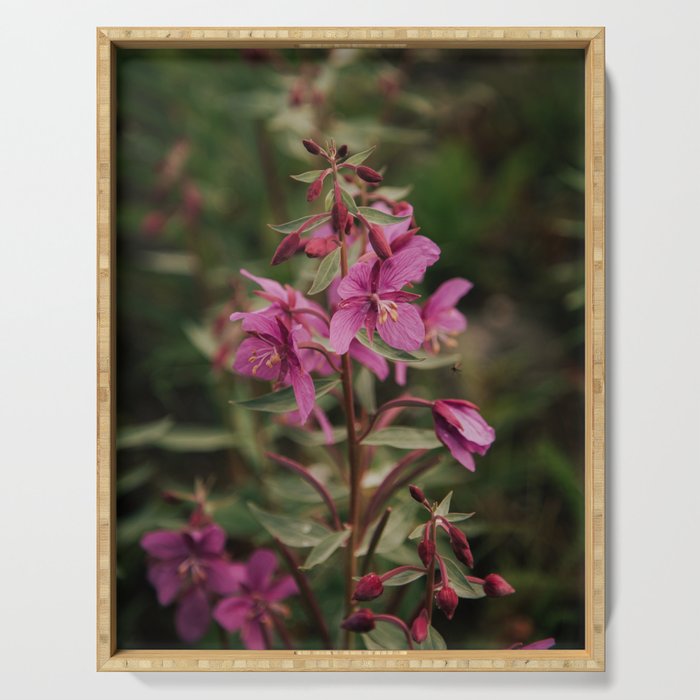 River Beauty Willowherb Serving Tray Gallery Image 1
