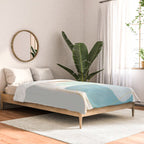 Soft Abstract Shapes 16 Comforter Gallery Image 2