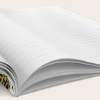 Vibrant coral reef light grey downtoned Notebook Gallery Image 2