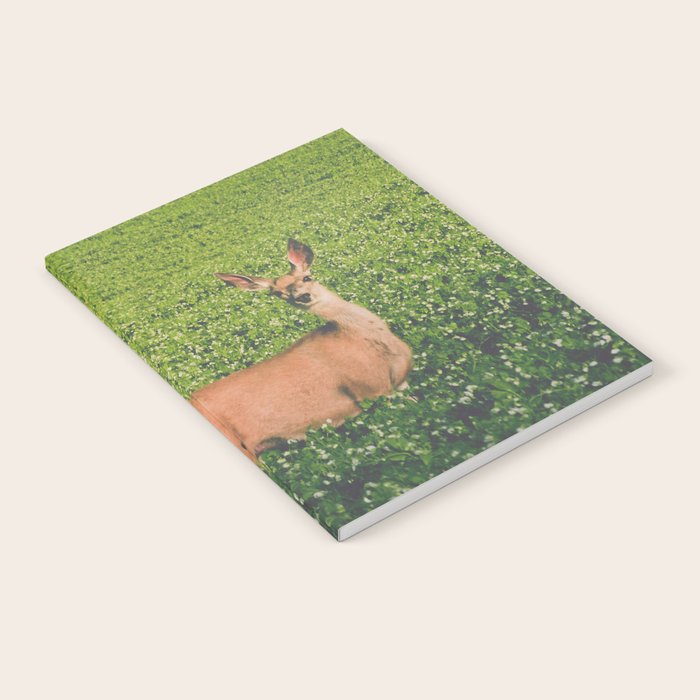 Clover Fields Notebook Gallery Image 2