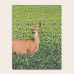 Clover Fields Notebook Gallery Image 4