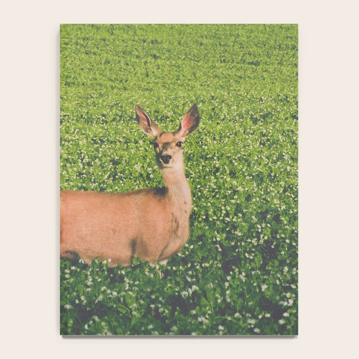 Clover Fields Notebook Gallery Image 4