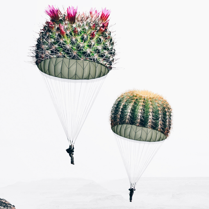 Flying Cacti Coffee Mug Gallery Image 2