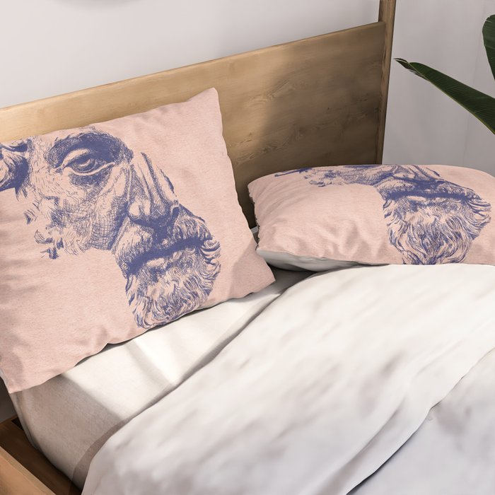 MARCUS AURELIUS ANTONINUS AUGUSTUS / Ballpen Pillow Sham Gallery Image 2