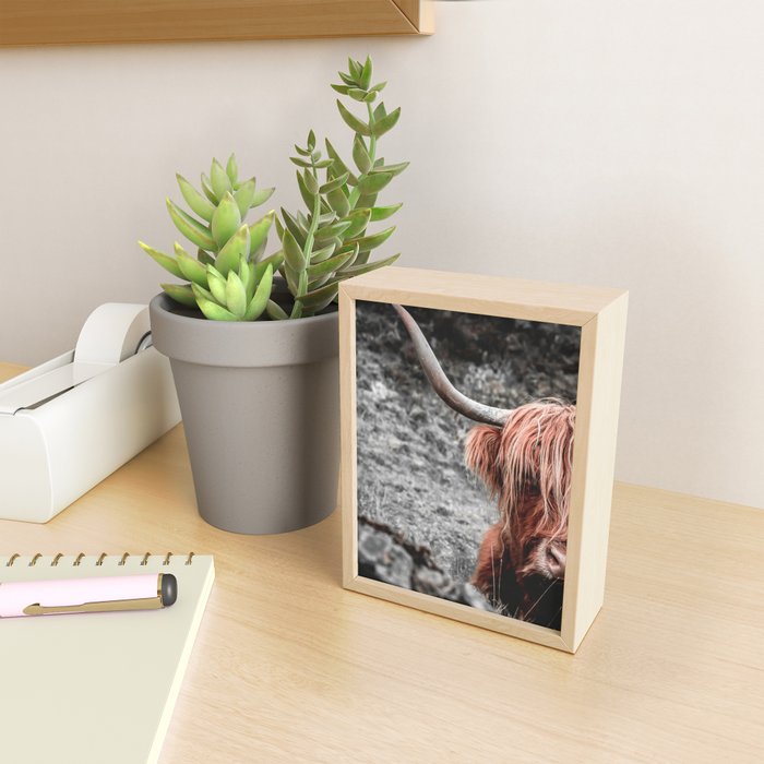 Highland Cow Mini Art Print Gallery Image 2