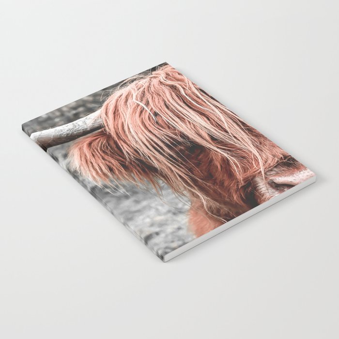 Highland Cow Notebook Gallery Image 1