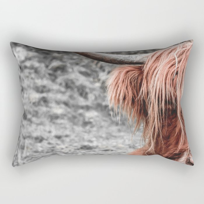Highland Cow Rectangular Pillow Gallery Image 2