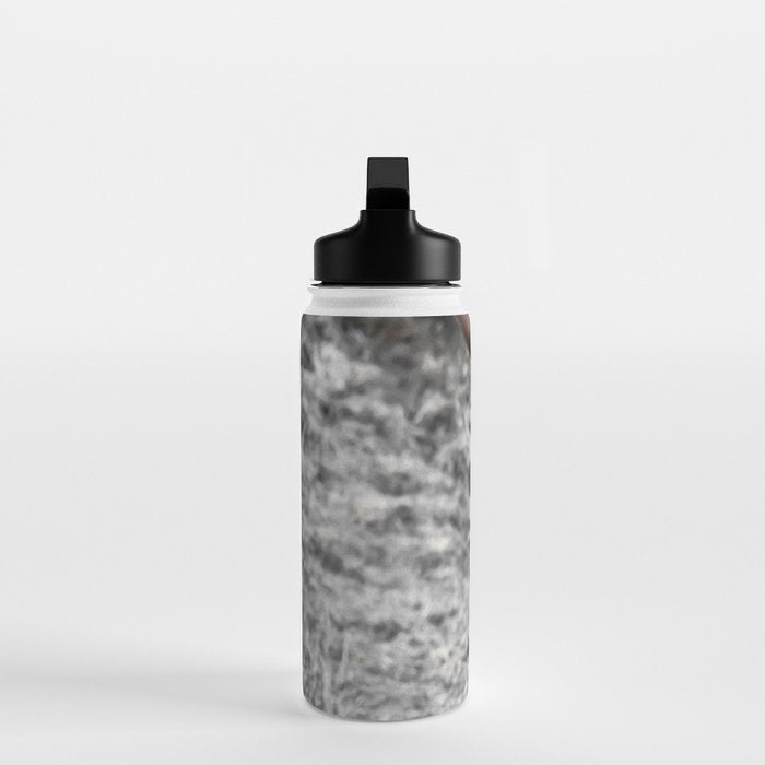 Highland Cow Water Bottle Gallery Image 3