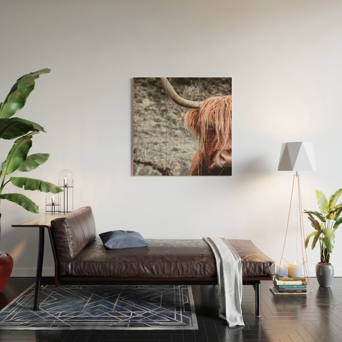 Highland Cow Wood Wall Art Gallery Image 2