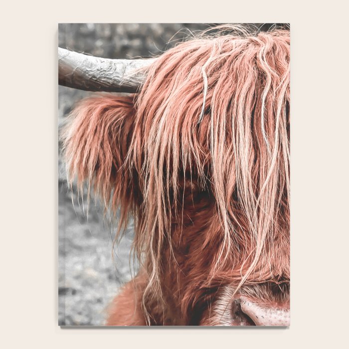 Highland Cow Notebook Gallery Image 4