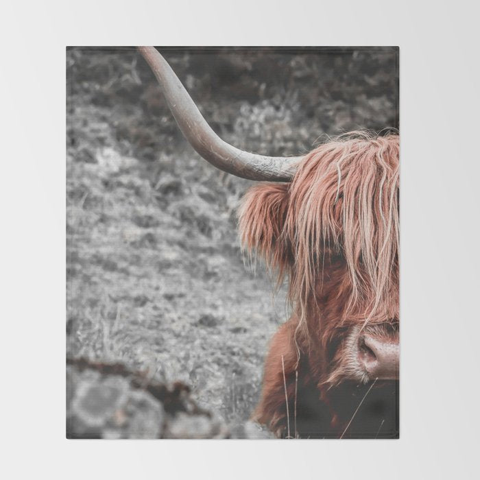 Highland Cow Throw Blanket Gallery Image 2