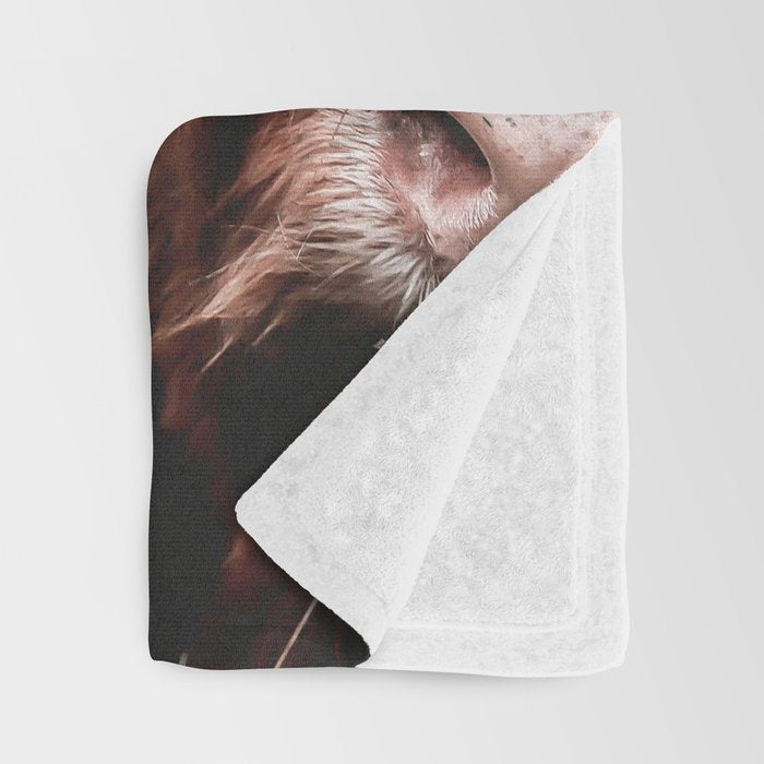 Highland Cow Throw Blanket Gallery Image 3