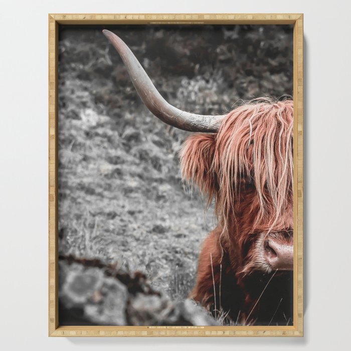 Highland Cow Serving Tray Gallery Image 1