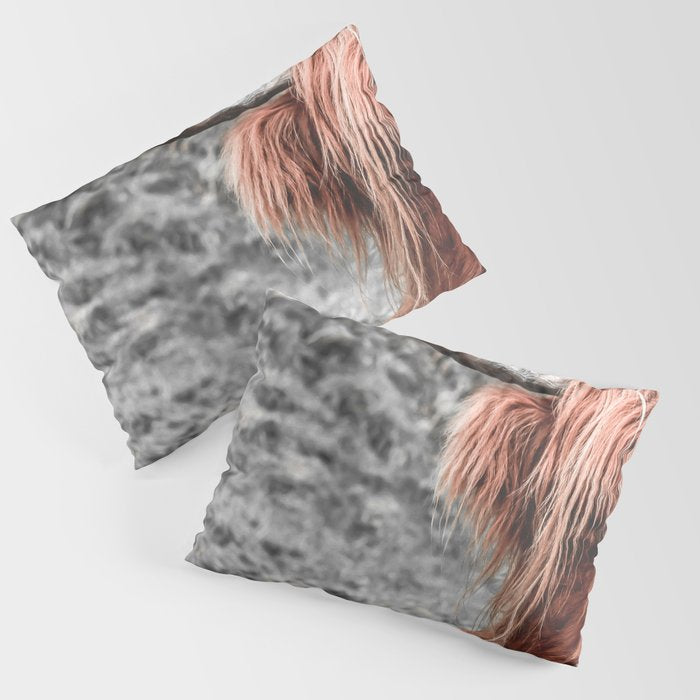 Highland Cow Pillow Sham Gallery Image 3