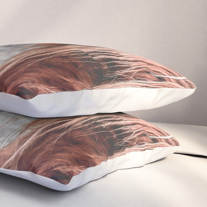 Highland Cow Pillow Sham Gallery Image 3