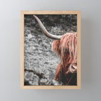 Highland Cow Mini Art Print Gallery Image 1