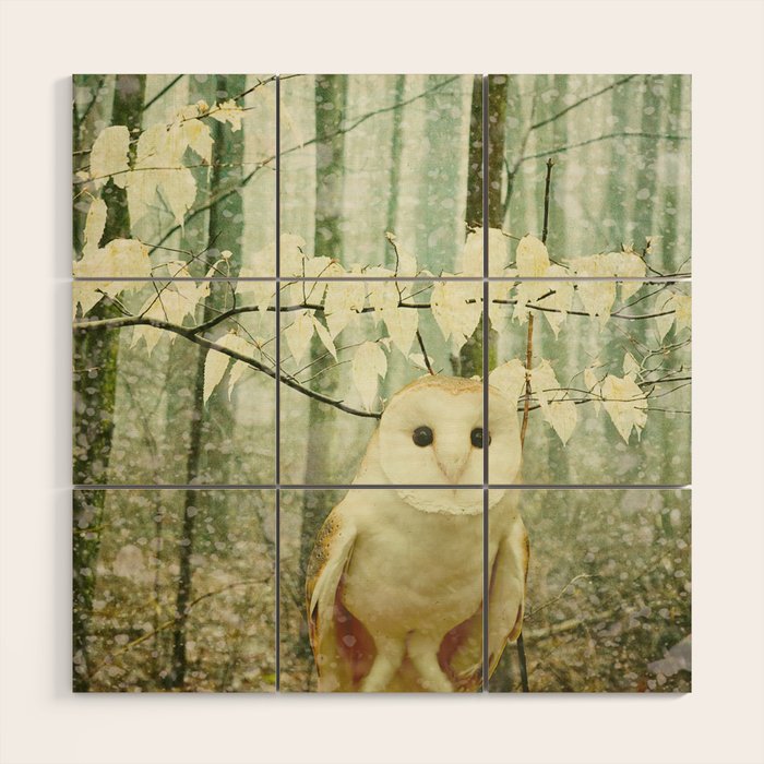 Barn Owl in Snowy Winter Woodland Wood Wall Art Gallery Image 1