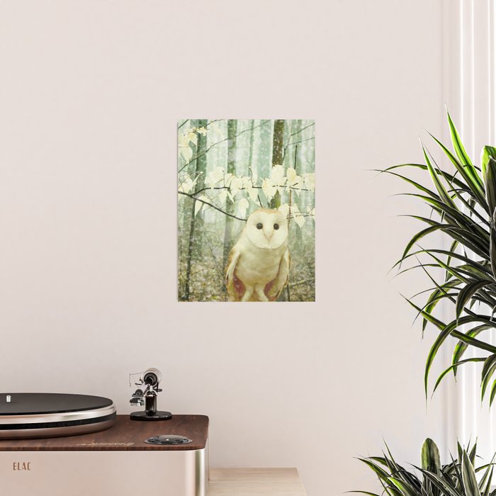 Barn Owl in Snowy Winter Woodland Poster Gallery Image 2