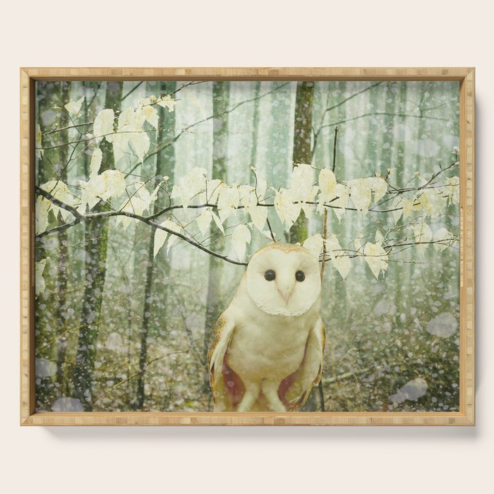 Barn Owl in Snowy Winter Woodland Serving Tray Gallery Image 1