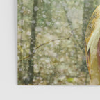 Barn Owl in Snowy Winter Woodland Poster Gallery Image 3