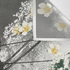 Spring Skiing Wall Tapestry Gallery Image 3
