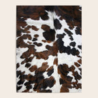 Brown Cowhide Poster Gallery Image 4