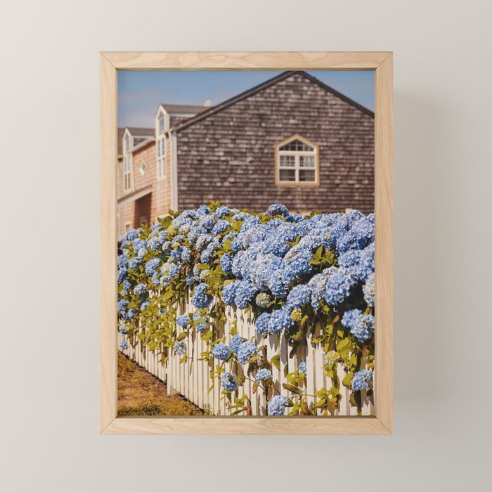 Cannon Beach Hydrangeas  Mini Art Print Gallery Image 1
