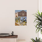 Cannon Beach Hydrangeas  Poster Gallery Image 2