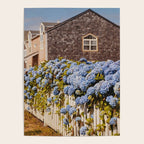 Cannon Beach Hydrangeas  Poster Gallery Image 4