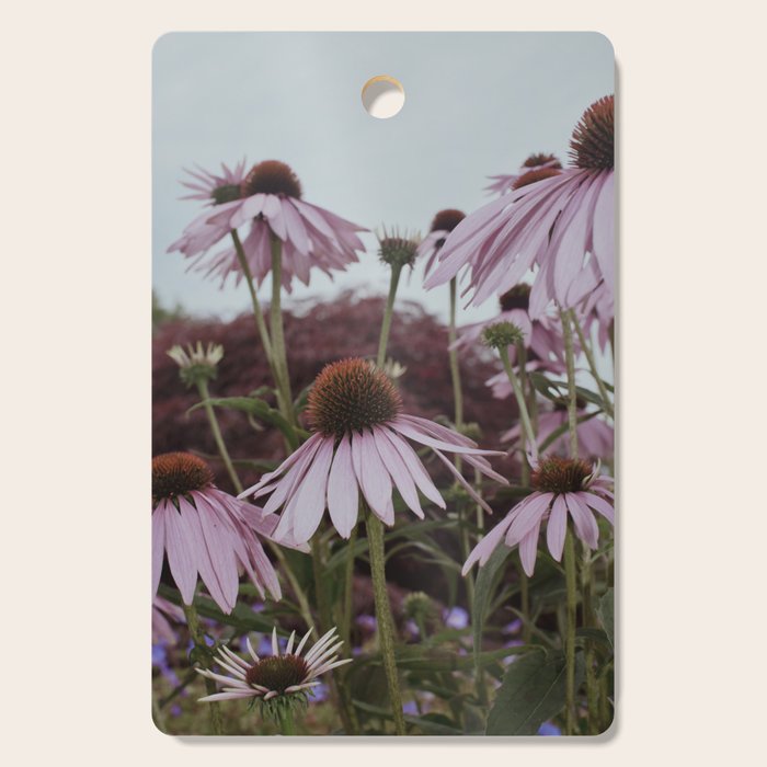 Coneflowers x flower botanical photograph Cutting Board Gallery Image 1