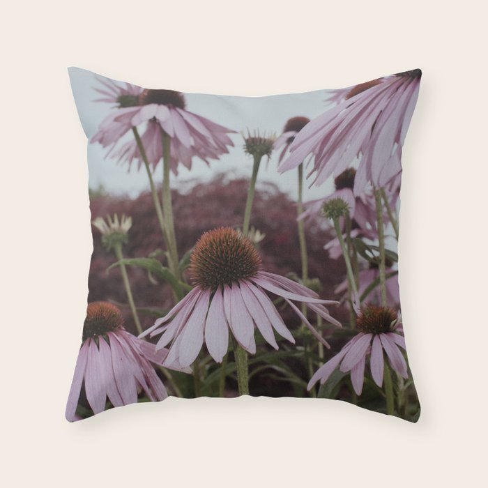 Coneflowers x flower botanical photograph Throw Pillow Gallery Image 6