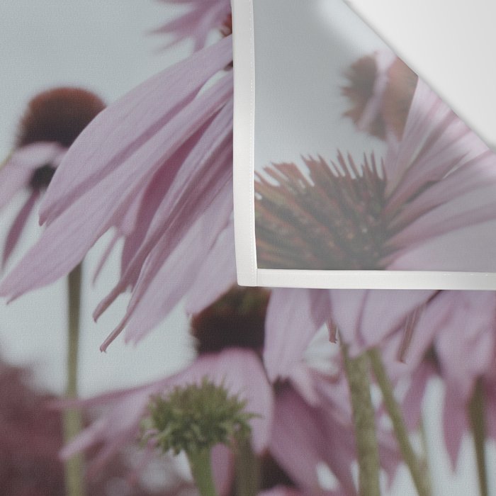 Coneflowers x flower botanical photograph Wall Tapestry Gallery Image 3