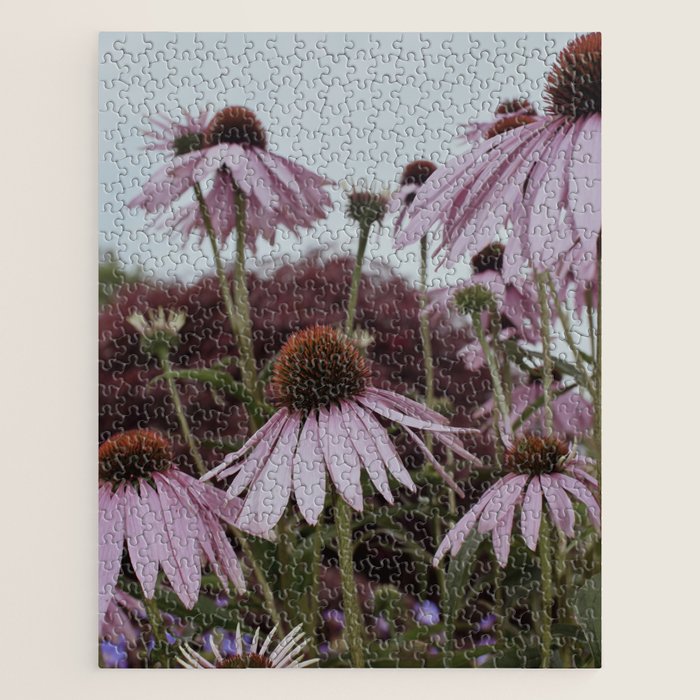 Coneflowers x flower botanical photograph Jigsaw Puzzle Gallery Image 1