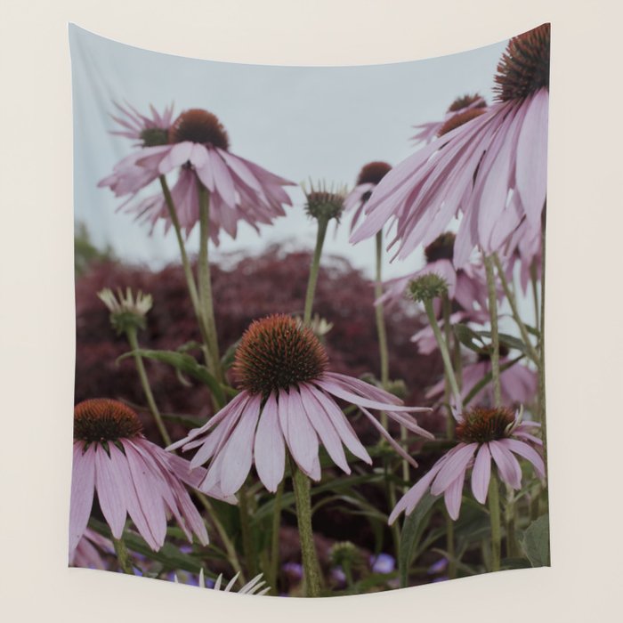 Coneflowers x flower botanical photograph Wall Tapestry Gallery Image 4