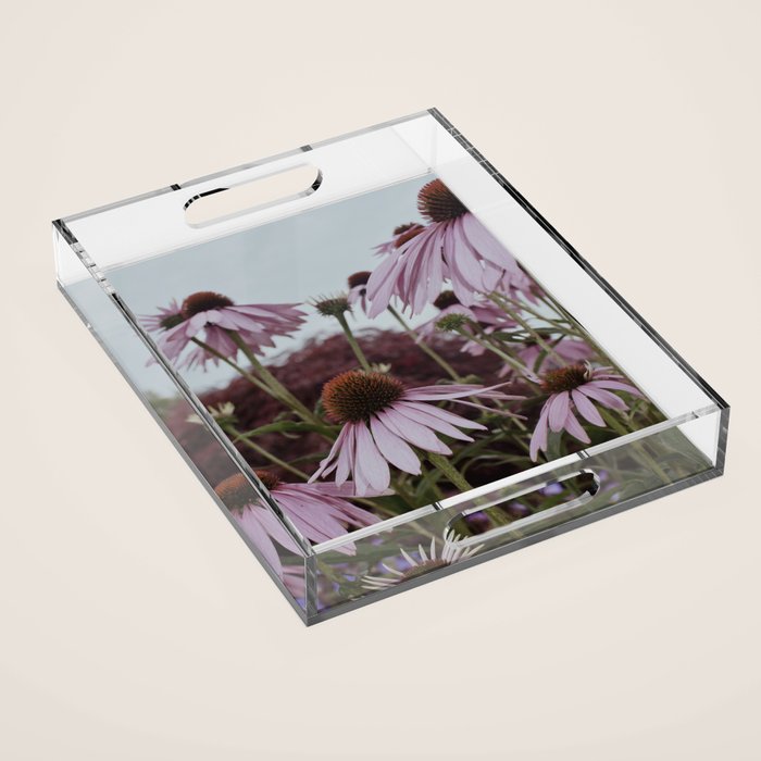 Coneflowers x flower botanical photograph Acrylic Tray Gallery Image 1