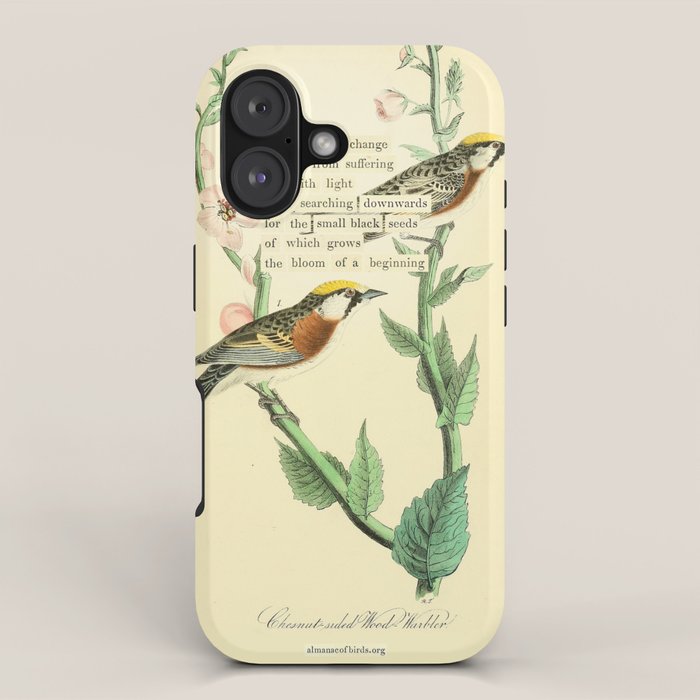Bird Divinations: Chestnut-Sided Wood Warbler (about: almanacofbirds.org) iPhone Case Gallery Image 1