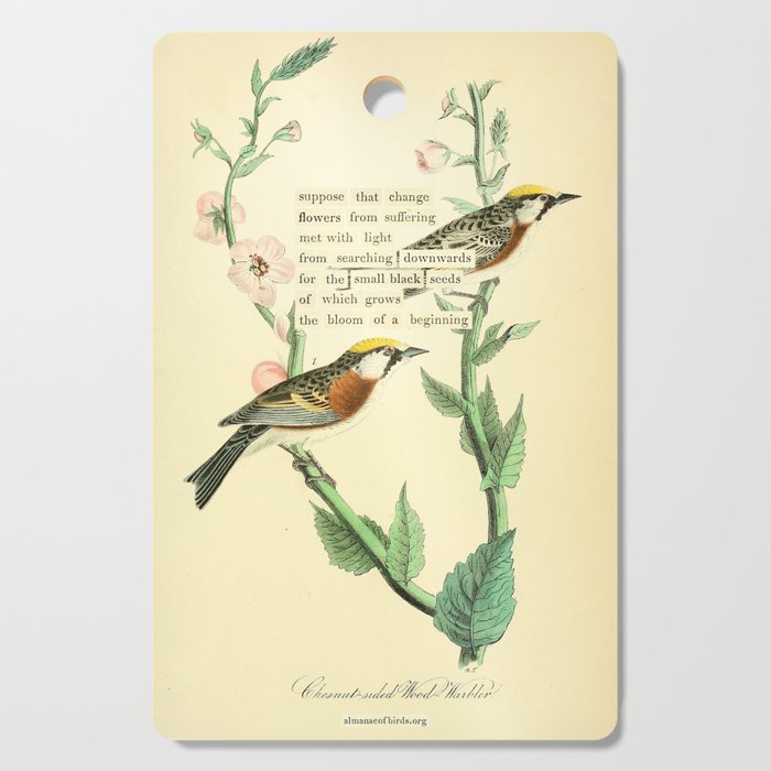 Bird Divinations: Chestnut-Sided Wood Warbler (about: almanacofbirds.org) Cutting Board Gallery Image 1